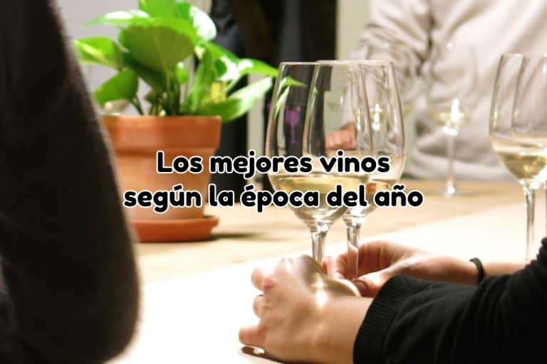 Mejores vinos del año según la época
