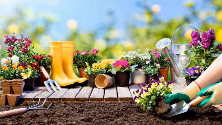 Jardin-sostenible-en-casa-1200x675
