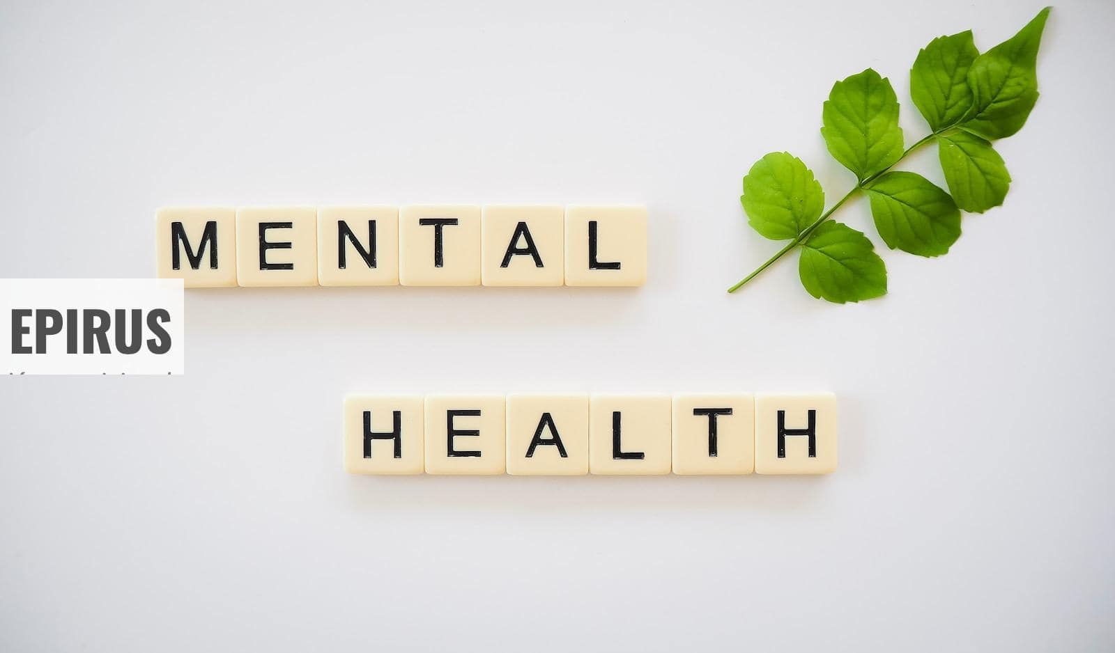 Fichas con el concepto de salud mental junto a una hoja verde