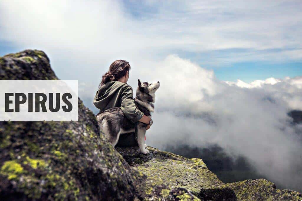 donde viajar con perro