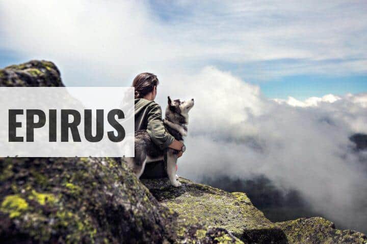 Viajar con perros: dónde viajar para disfrutar de tu mascota