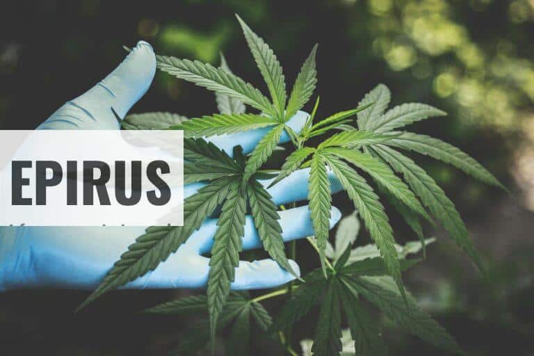 ¿Cómo montar un ecommerce de CBD?