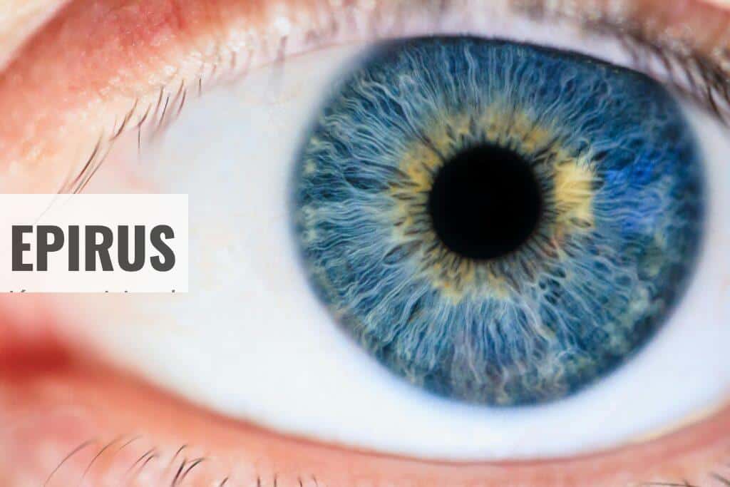 Detailed macro of a human eye showcasing the iris and pupil.